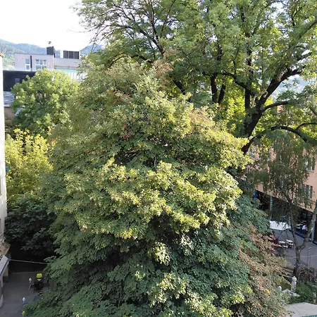 The Pedestrian Street *